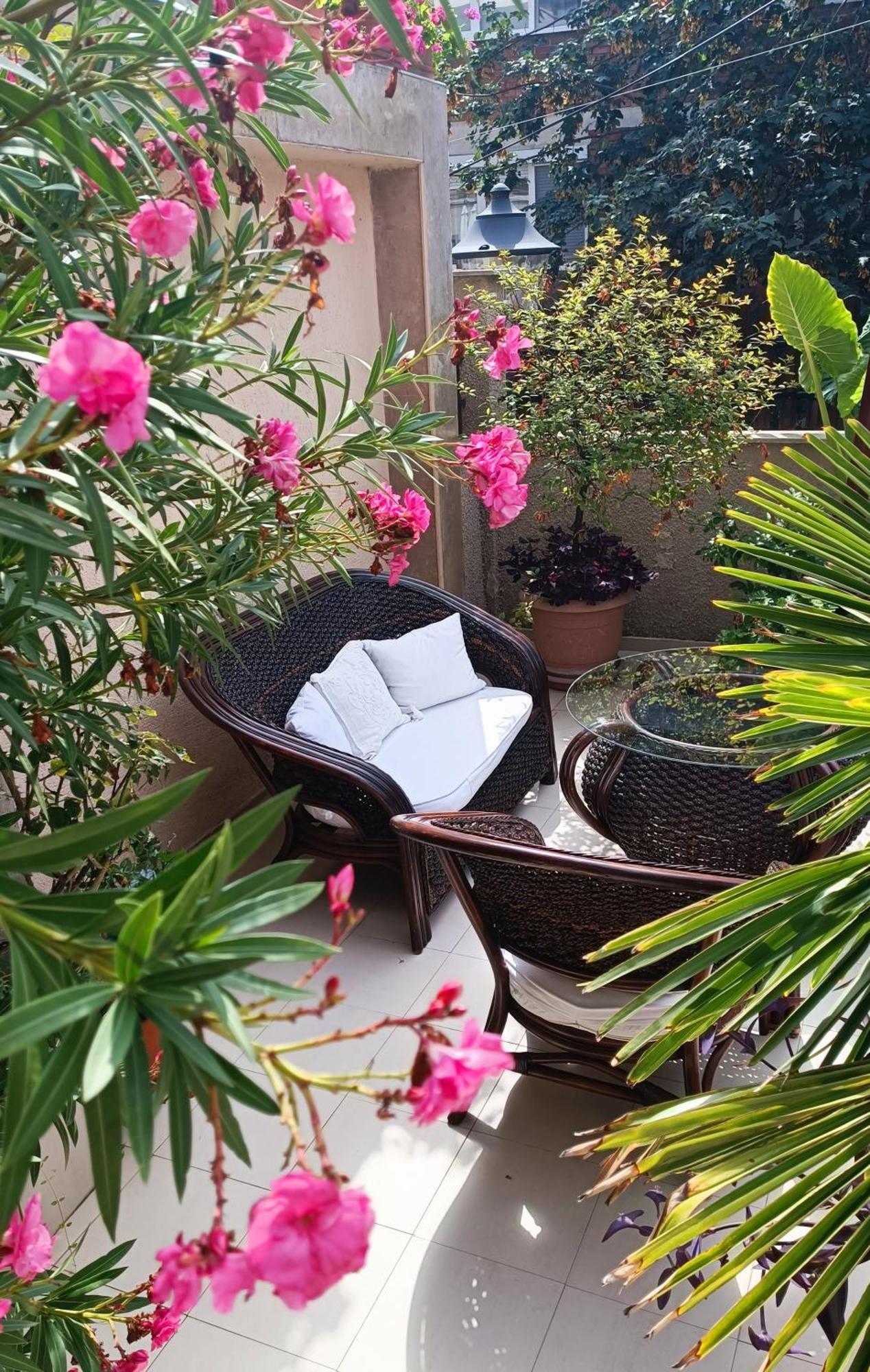 Villa Rosi ソゾポル エクステリア 写真