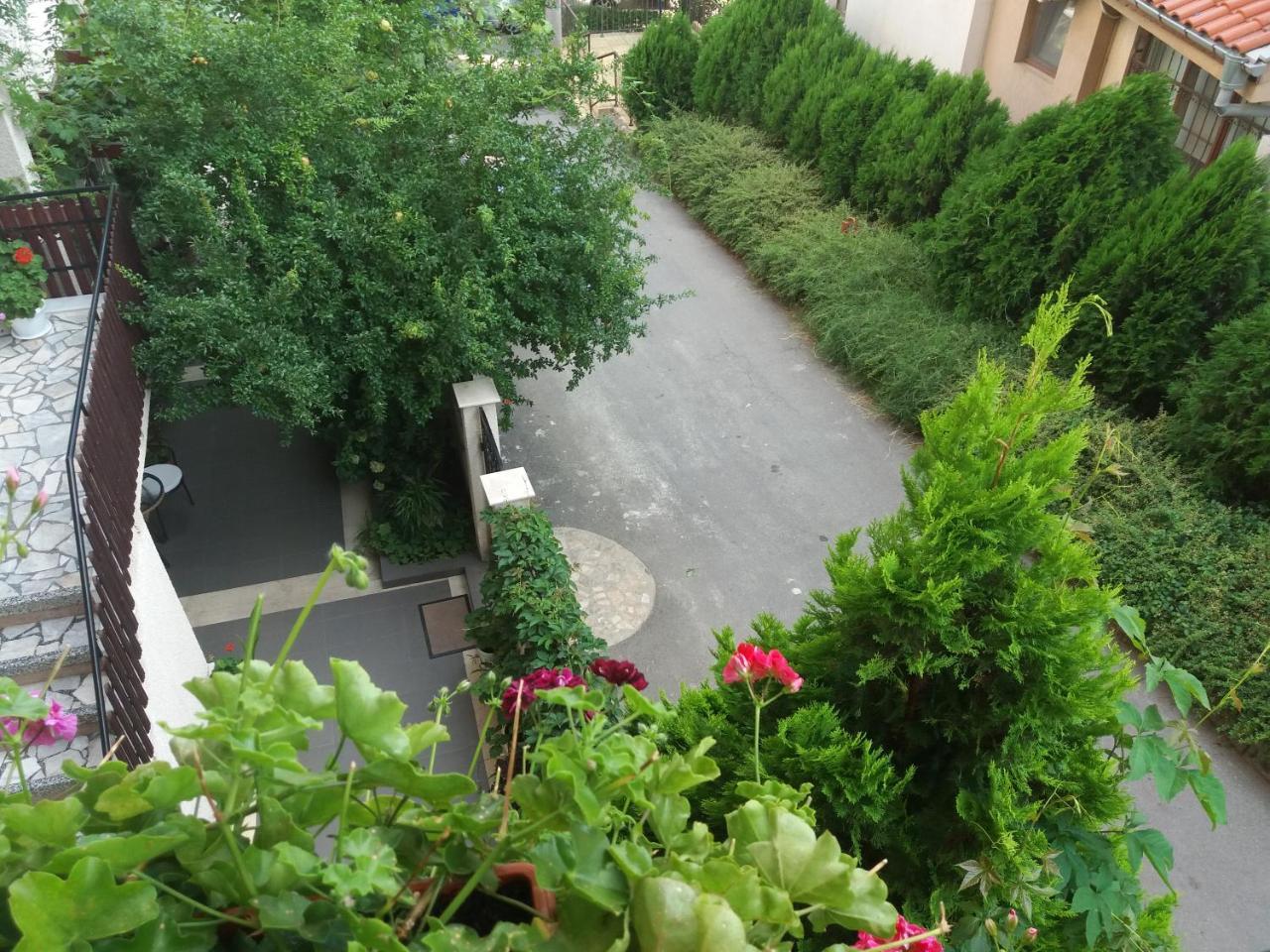 Villa Rosi ソゾポル エクステリア 写真